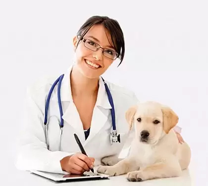 Support Pets - Emotional Support Animal Specialists - Official ESA®  Products and Services - Licensed Doctors in Every State - Take the ESA Quiz  to Qualify Today!