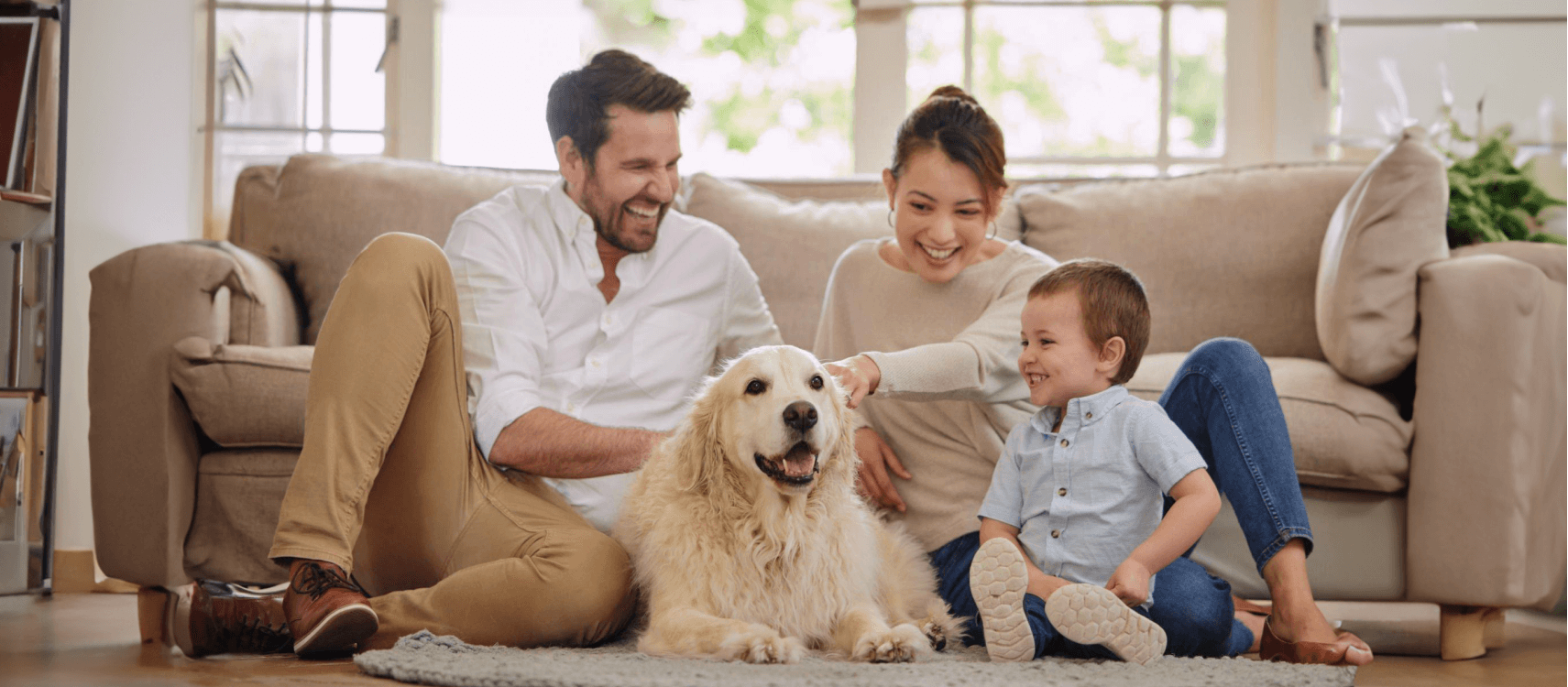 family with dogs