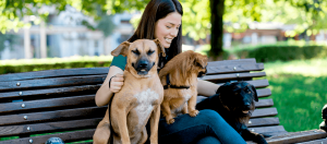 woman setting on bench with dogs