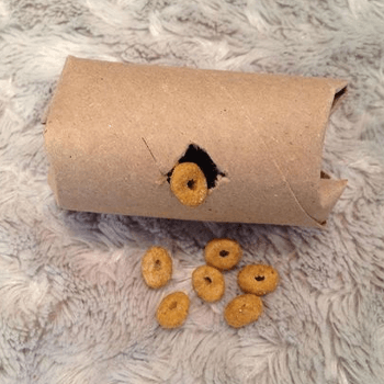 toilet paper roll and treats