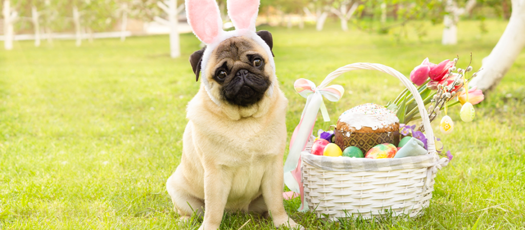 dog and easter basket