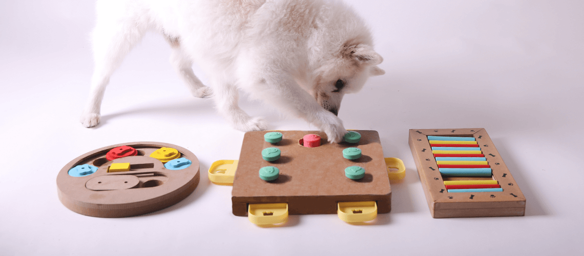 dog playing with puzzle toy