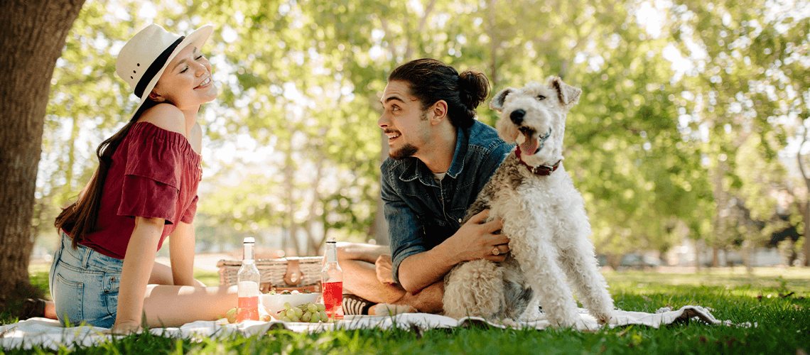 People having picnic lunch with dog