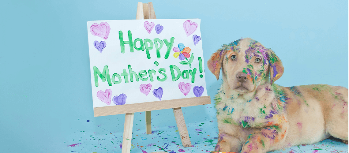 dog next to painting that says happy mothers day