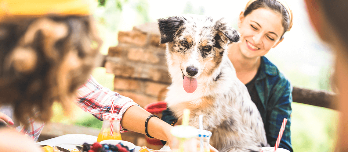 dog at breakfast with woman