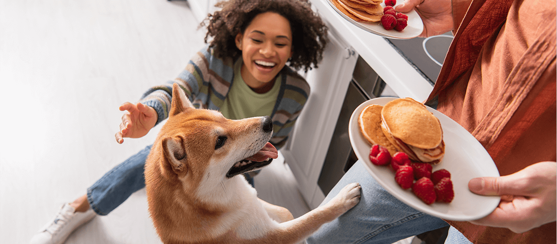 dog woman and pancakes