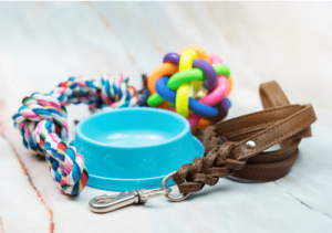 dog toys and bowl