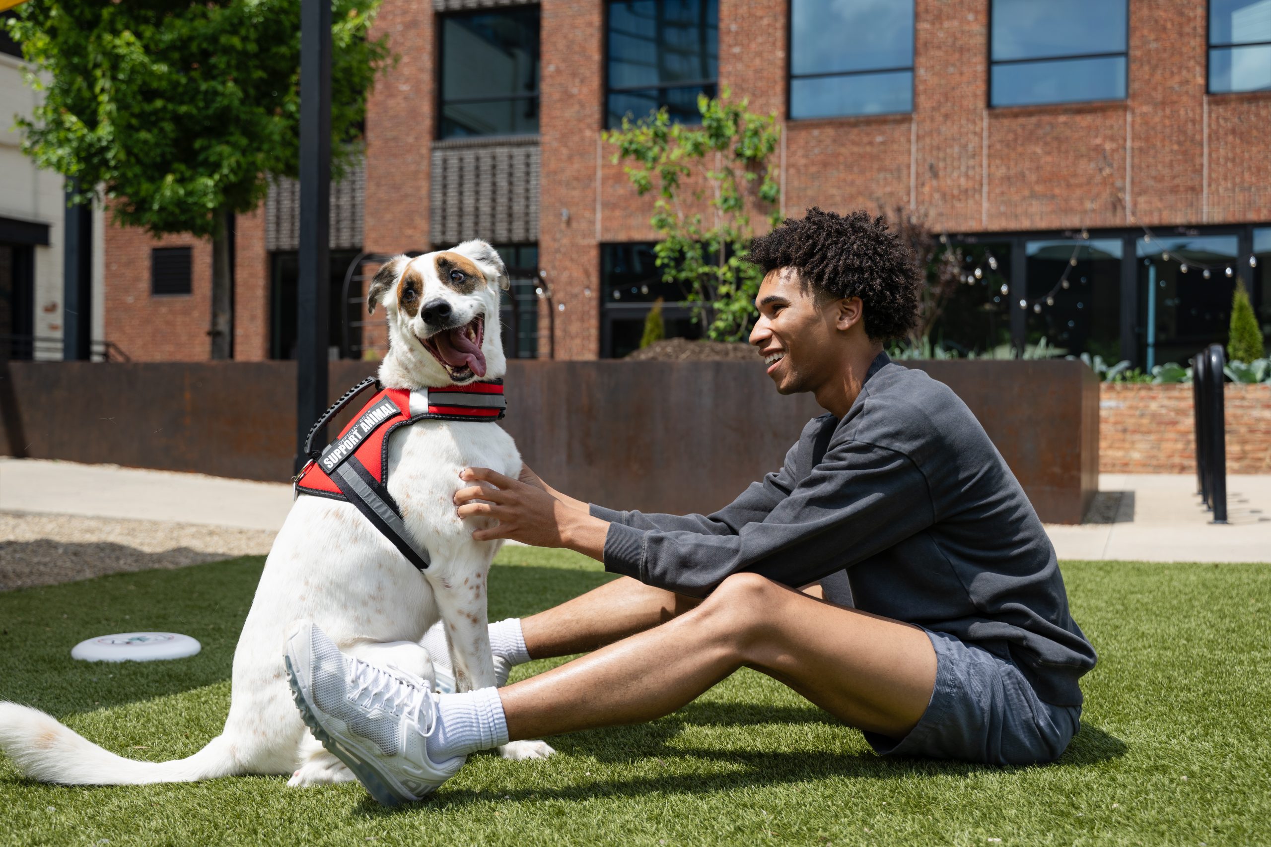 Happy support pet with its owner in a grassy area