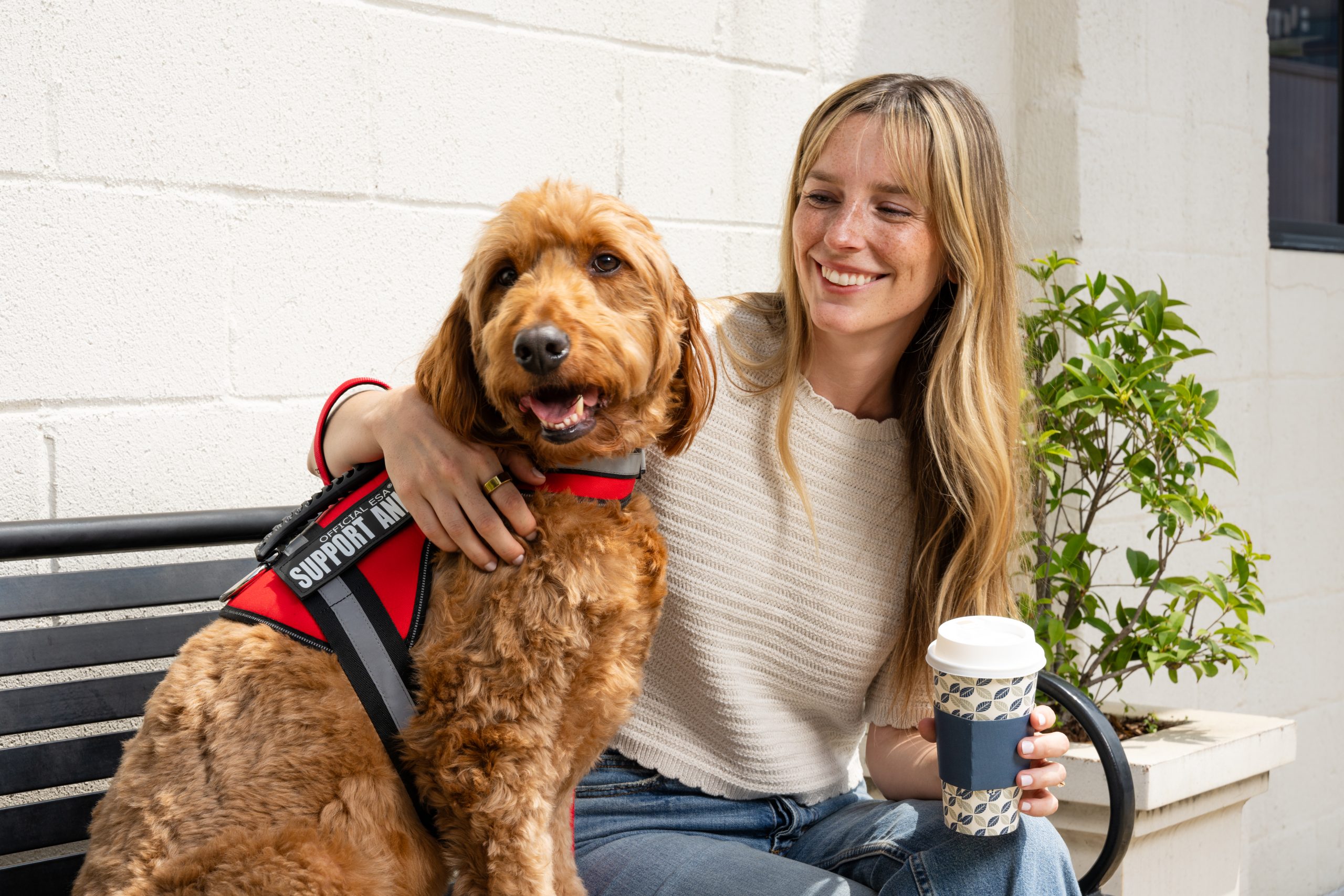Fuzzy support dog next to his owner holding a coffee
