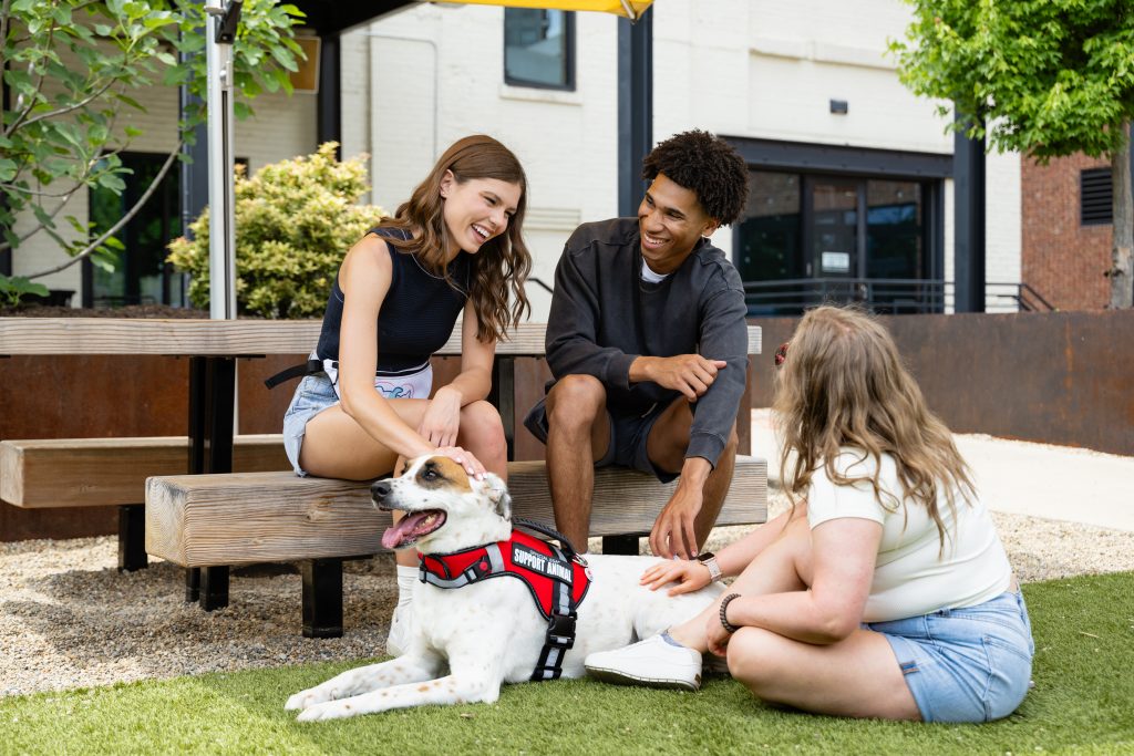 3 people around a support dog