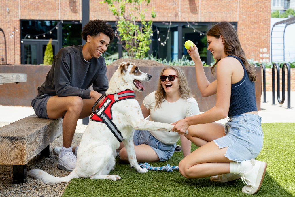 3 friends playing fetch with a support animal