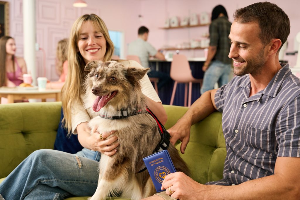 Support pet dog being petted by 2 people