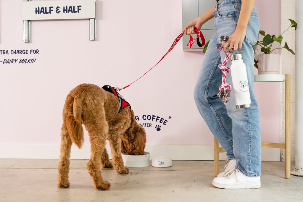 dog eating and drinking from a bowl