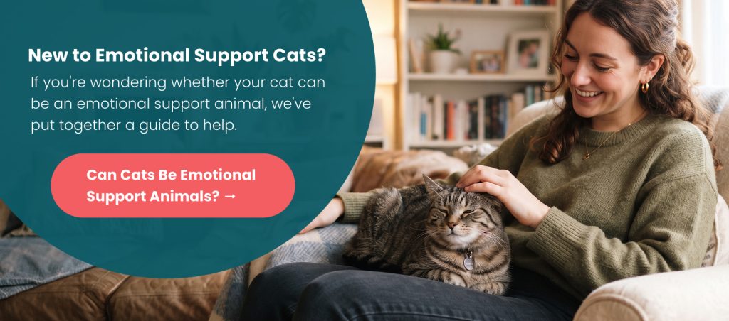 A woman pets a contented tabby cat on her lap, with text reading “New to Emotional Support Cats?” and a button linking to “Can Cats Be Emotional Support Animals?”