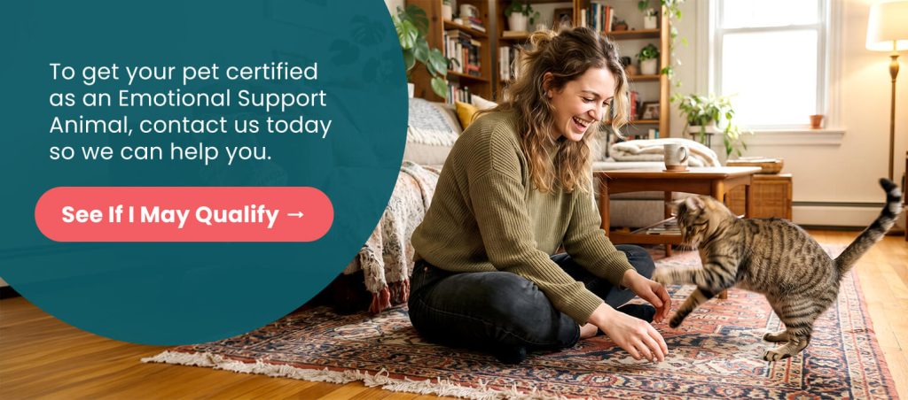 Woman sitting on the floor with her cat beside a Support Pets promotional graphic