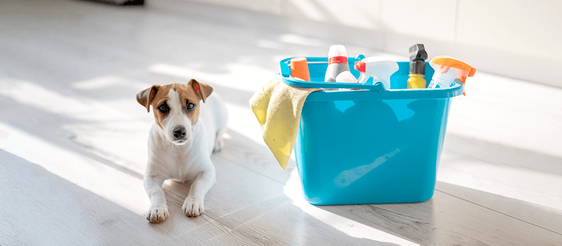 Apr_Spring-CleaningBlog-Banner dog next to cleaning supplies