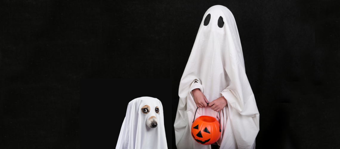 Can Dogs See Ghosts?
