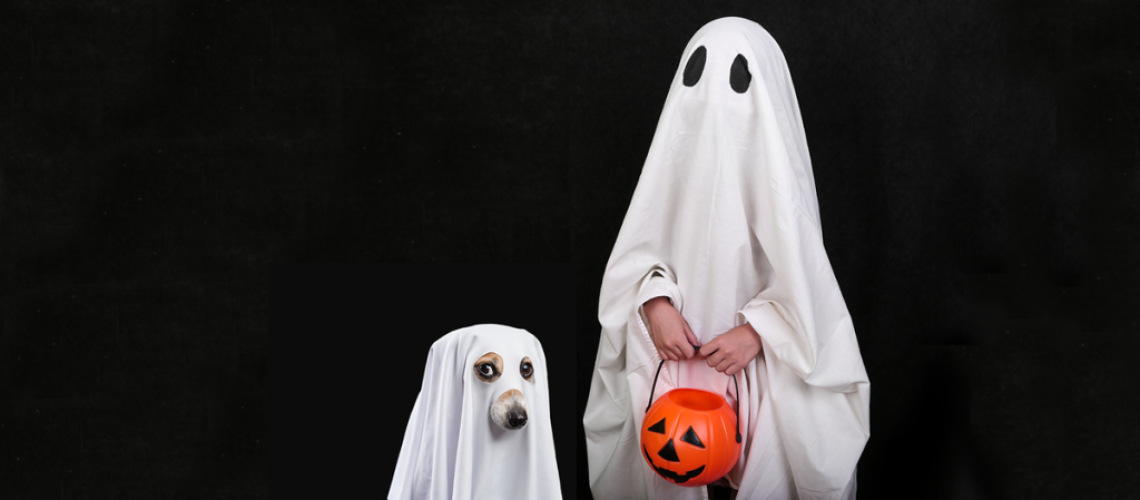 Can Your Dog See Ghosts?